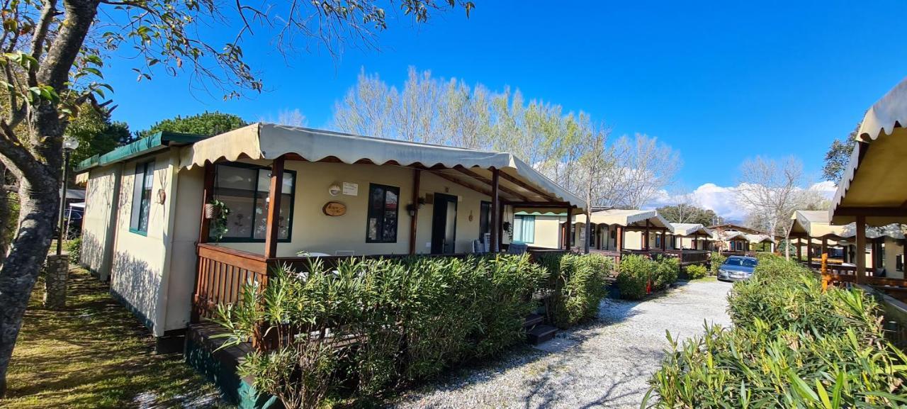 Chalet La Dolce Vita Viareggio Exterior foto